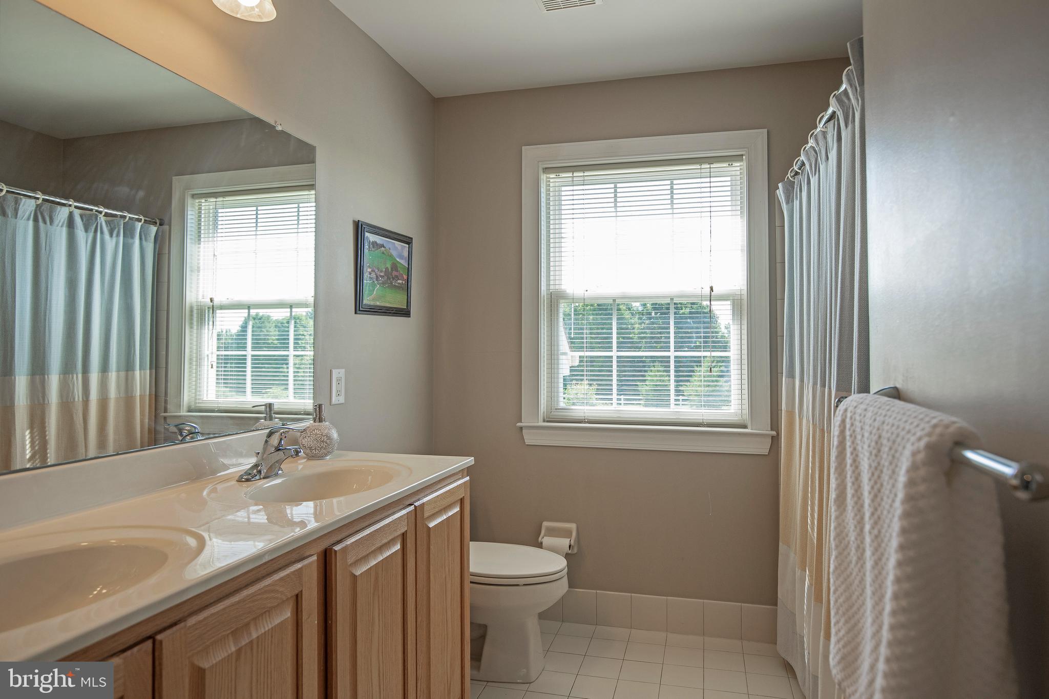 3836 Springtown Road Furlong, PA 18925 - Photo 30 of 71 hall bath
