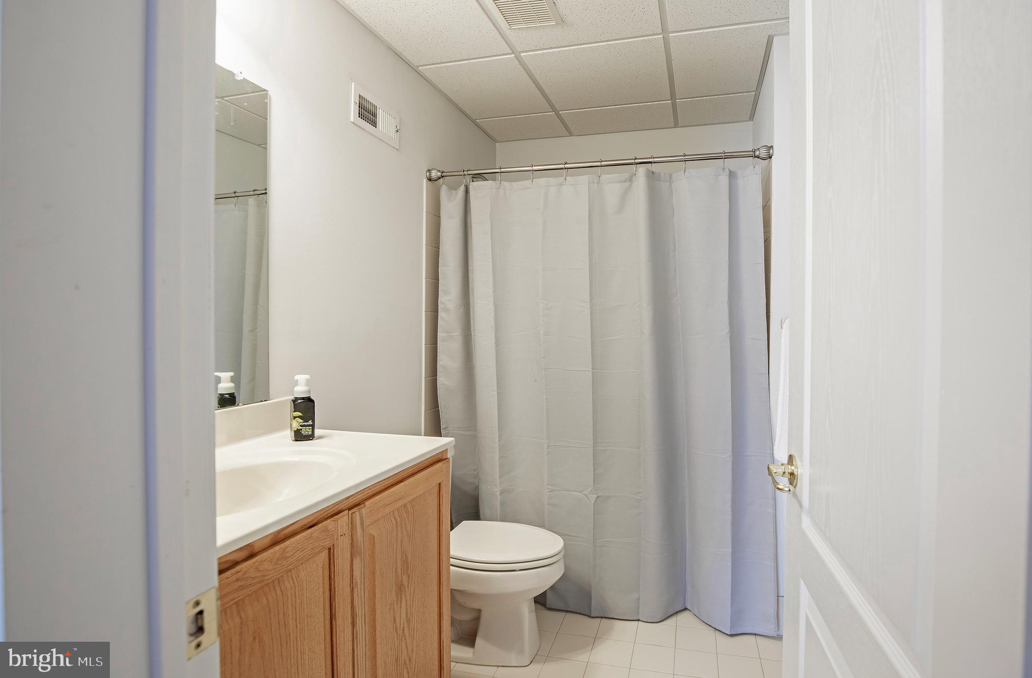 3836 Springtown Road Furlong, PA 18925 - Photo 39 of 71 basement full bath