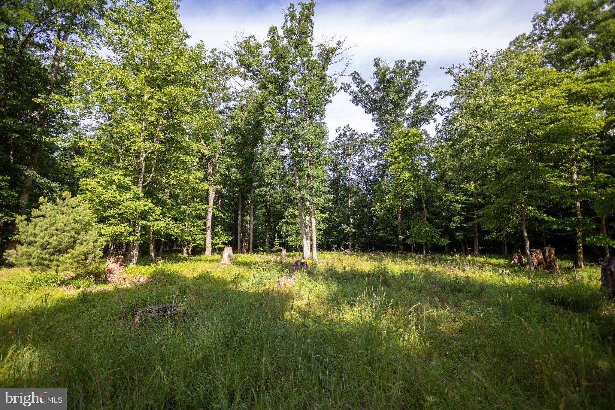 110 Cold Springs Road Carlisle, PA 17015 - Photo 13 of 25