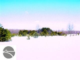 Brownell Road Honor, MI 49640 - Photo 3 of 4 1645123-2.JPG