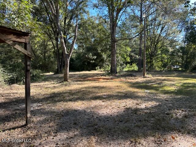 6001 Lilly Coleman Road Lucedale, MS 39452 - Photo 7 of 17 IMG_4776