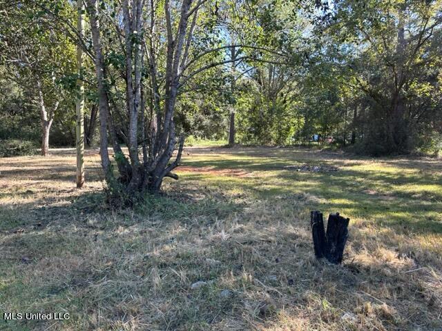 6001 Lilly Coleman Road Lucedale, MS 39452 - Photo 9 of 17 IMG_4773