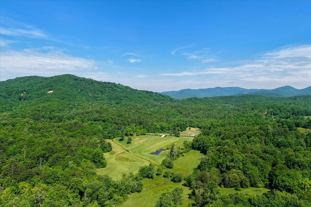 5260 Hardscrabble Road Mineral Bluff, GA 30559 - Photo 2 of 52