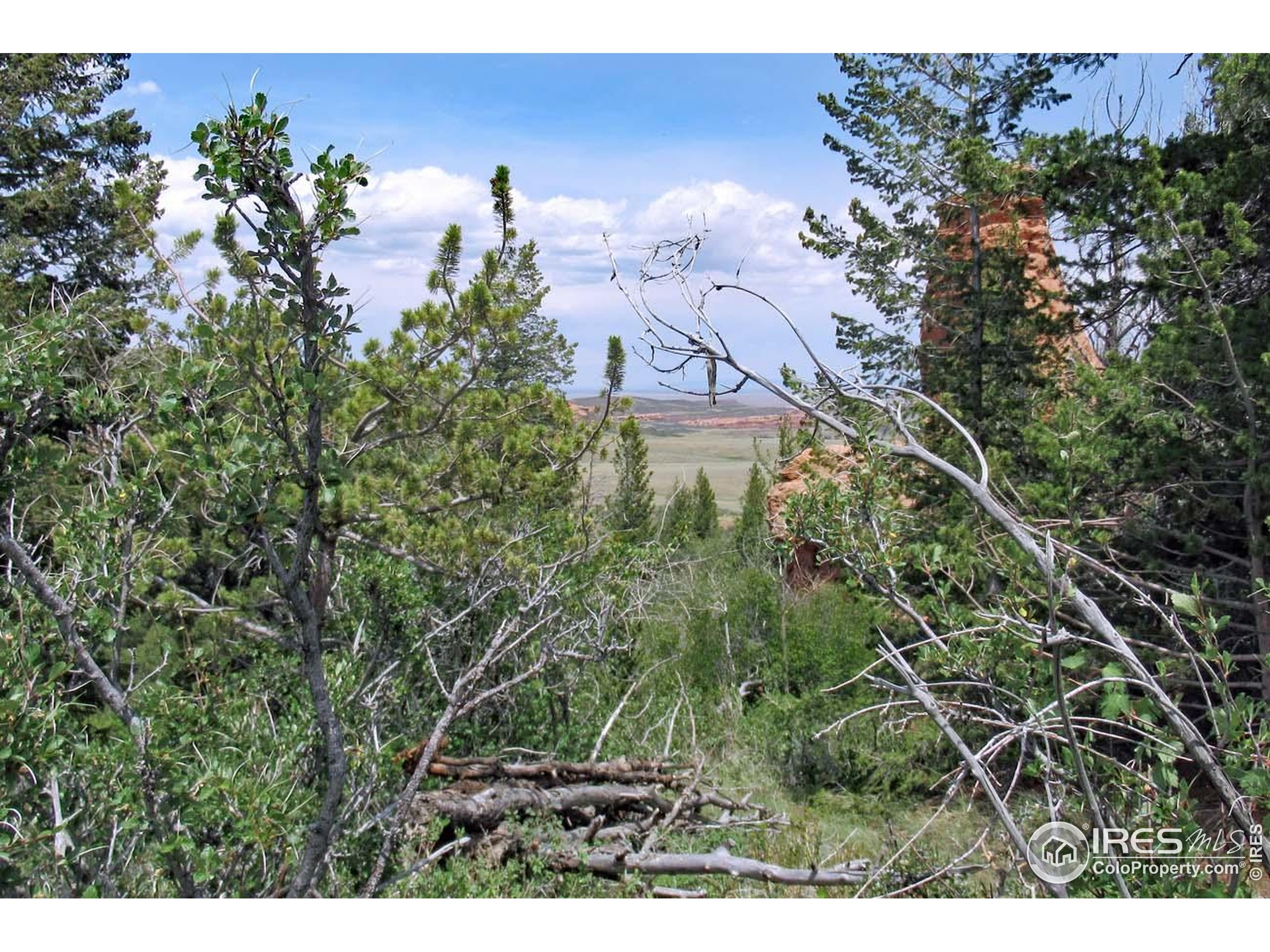 Undisclosed Address Livermore, CO 80536 - Photo 2 of 17 a view of a houses with a yard