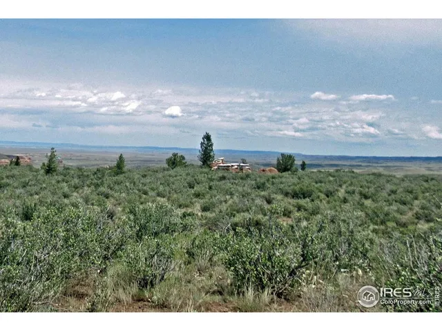 a view of a lake in middle of forest