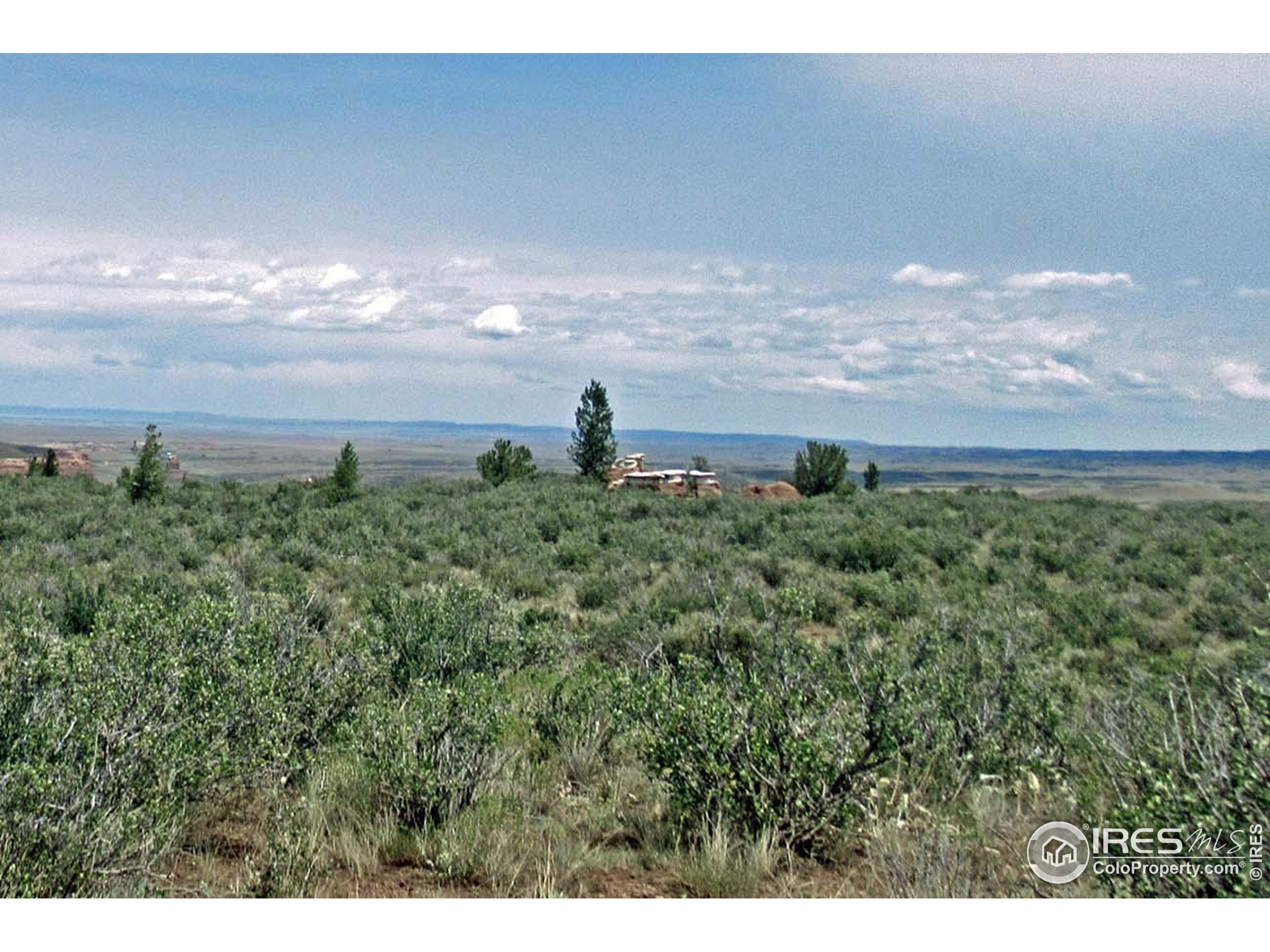 Undisclosed Address Livermore, CO 80536 - Photo 7 of 17 a view of a lake in middle of forest