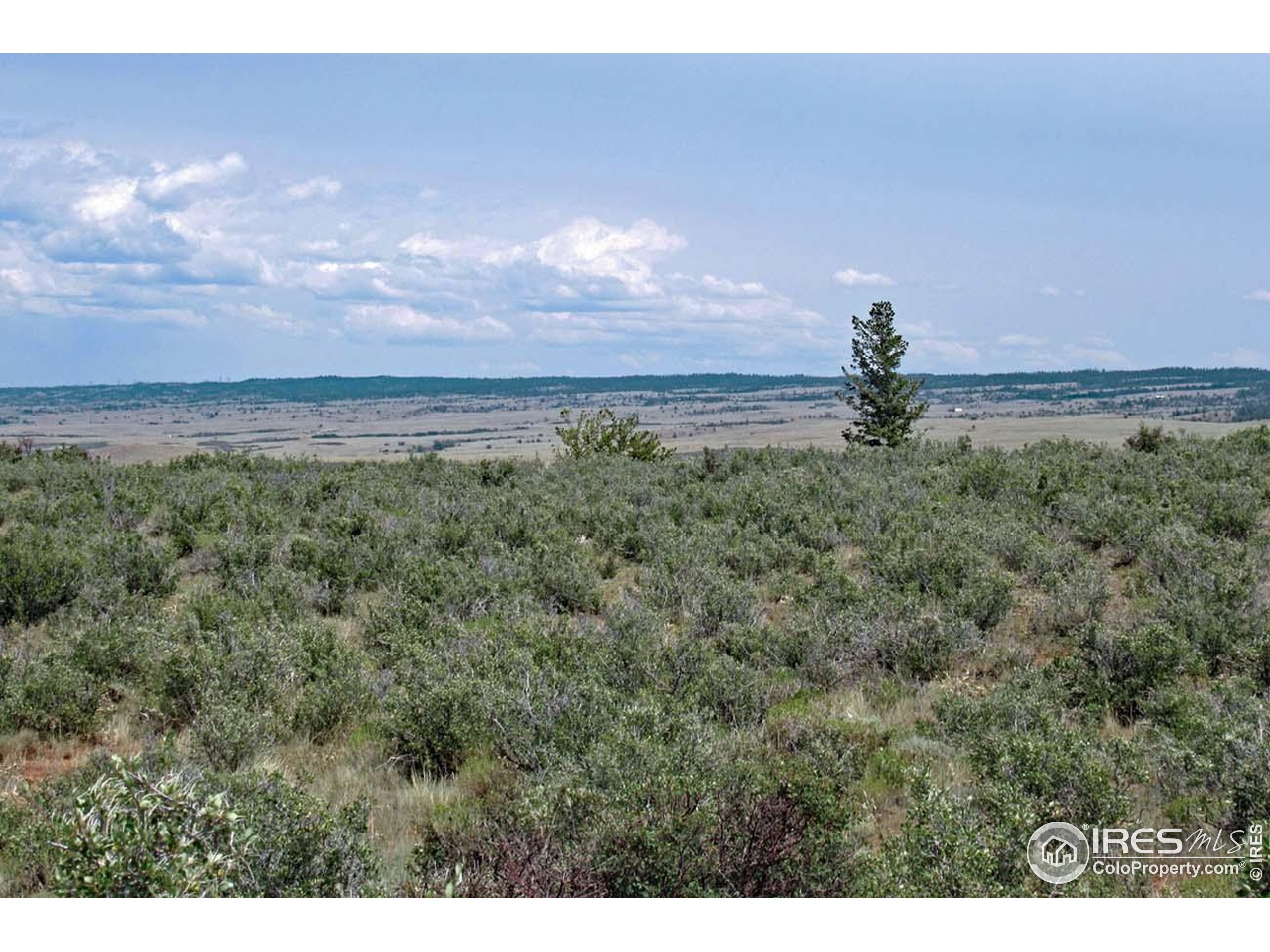Undisclosed Address Livermore, CO 80536 - Photo 8 of 17 a view of a lake and a yard
