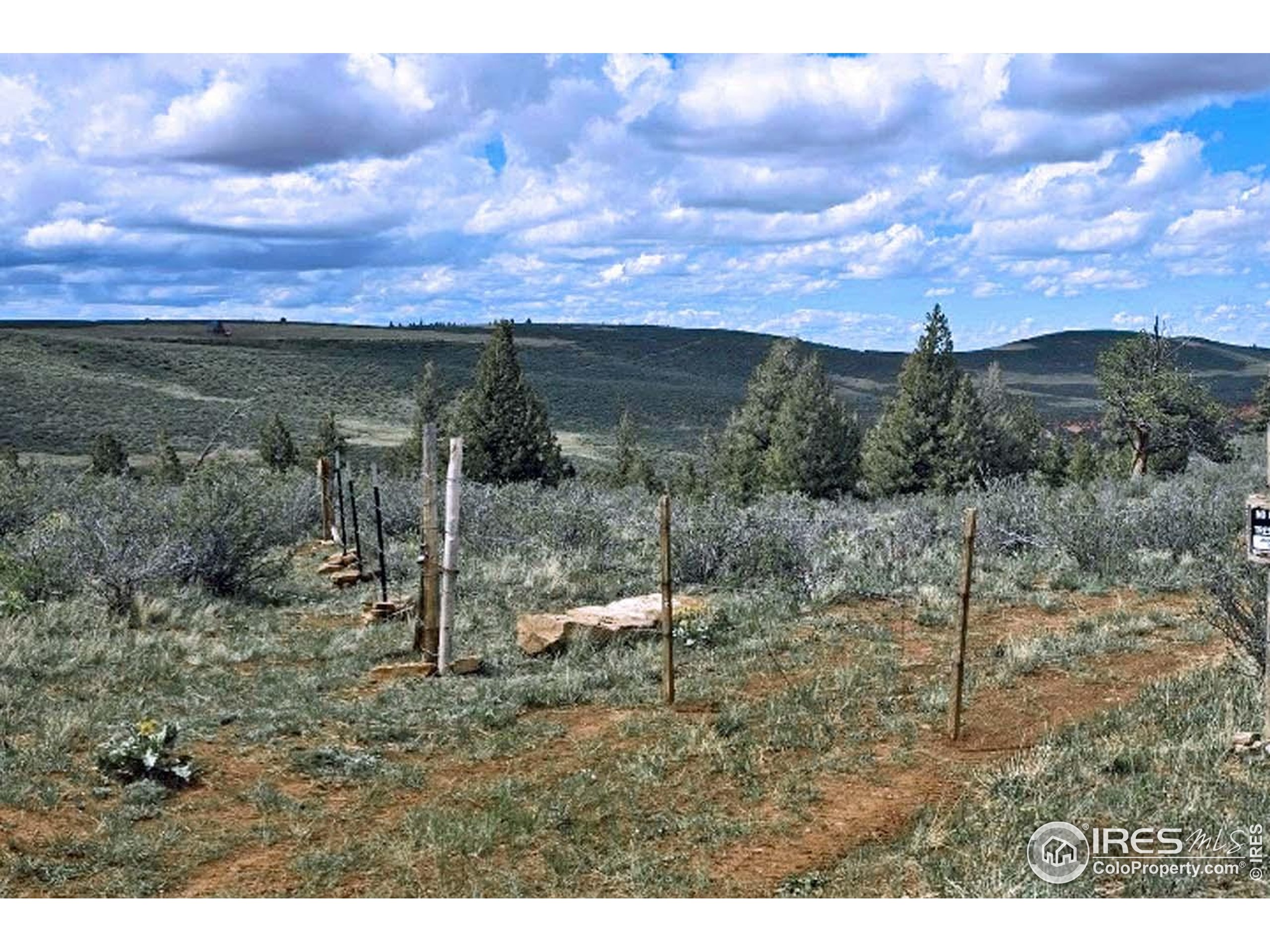 Undisclosed Address Livermore, CO 80536 - Photo 9 of 17 a view of a garden with a table and chairs