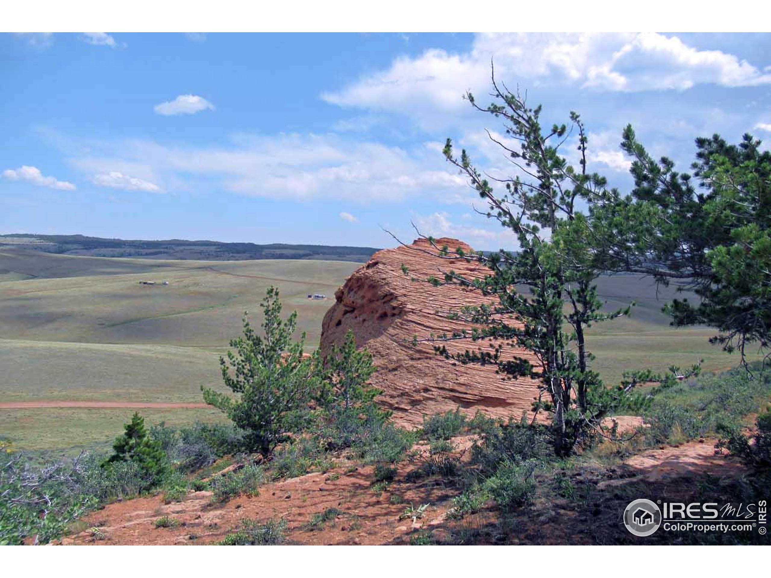 Undisclosed Address Livermore, CO 80536 - Photo 10 of 17 a view of a yard with an ocean and a forest