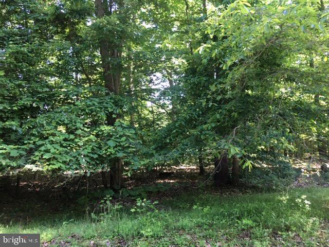 0 Schooner Road Chestertown, MD 21620 - Photo 1 of 1 Wooded property backing to Worton Creek