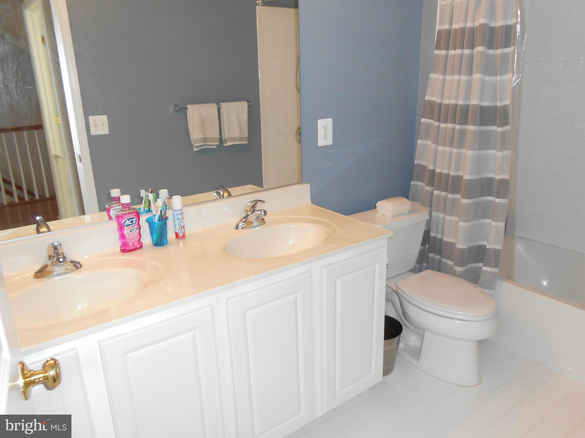 9006 Ribbon Falls Loop Bristow, VA 20136 - Photo 13 of 30 2nd level hall bath