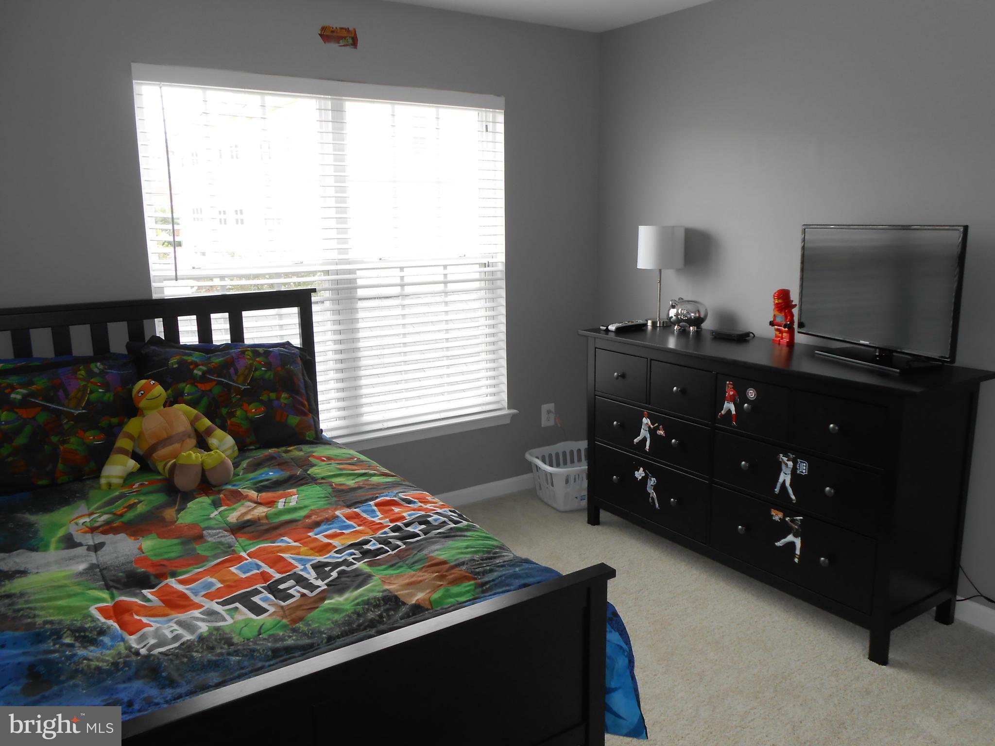 9006 Ribbon Falls Loop Bristow, VA 20136 - Photo 14 of 30 Bedroom 2