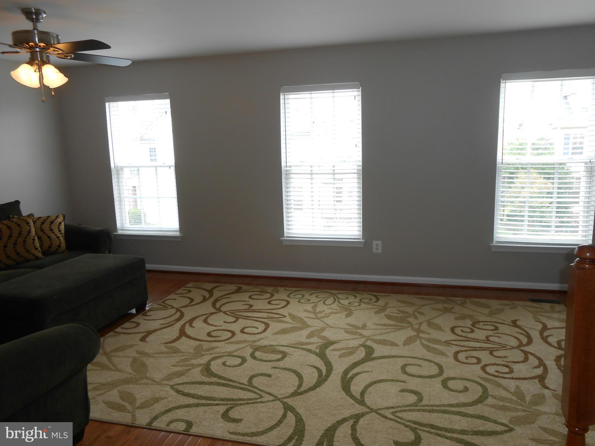 9006 Ribbon Falls Loop Bristow, VA 20136 - Photo 16 of 30 Living Room on 2nd level