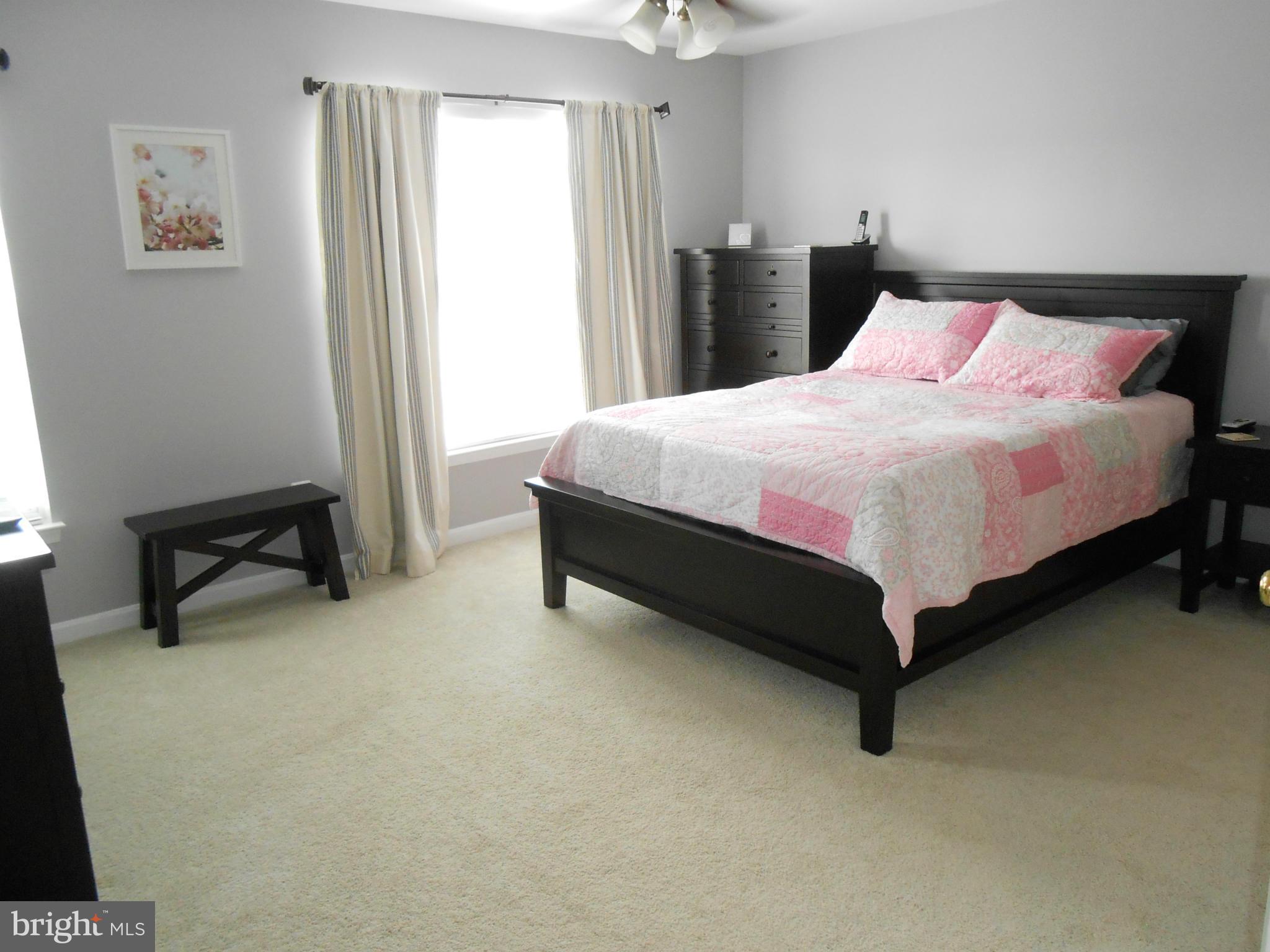 9006 Ribbon Falls Loop Bristow, VA 20136 - Photo 19 of 30 Bedroom (Master)