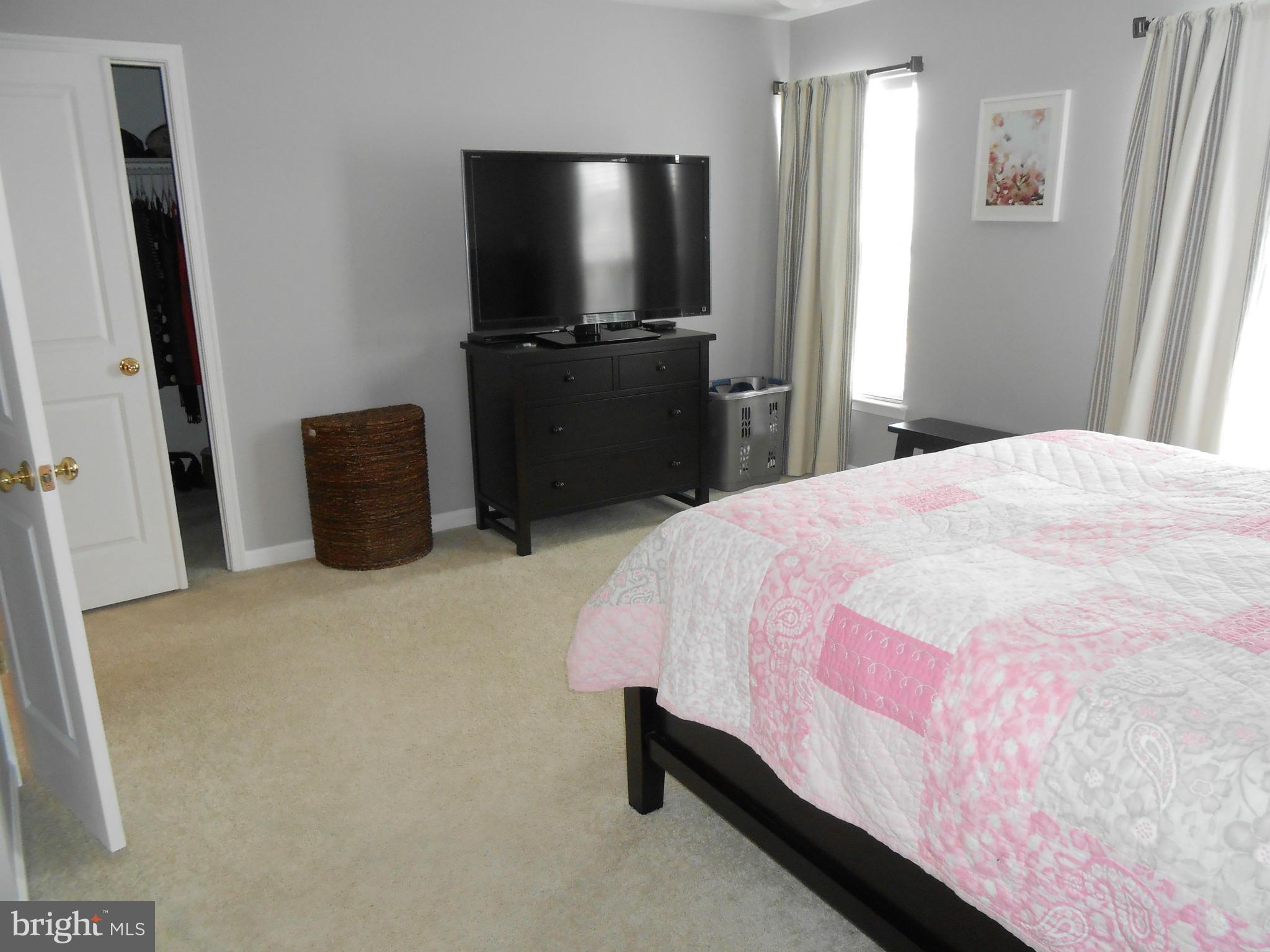 9006 Ribbon Falls Loop Bristow, VA 20136 - Photo 20 of 30 Bedroom (Master)