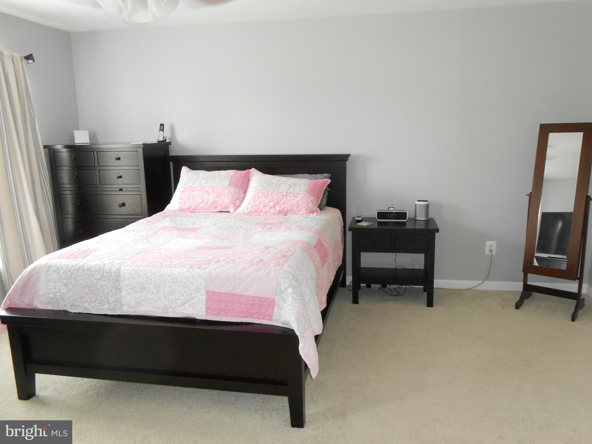 9006 Ribbon Falls Loop Bristow, VA 20136 - Photo 21 of 30 Bedroom (Master)