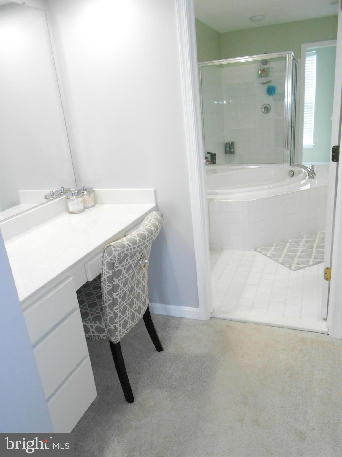 9006 Ribbon Falls Loop Bristow, VA 20136 - Photo 22 of 30 Vanity area