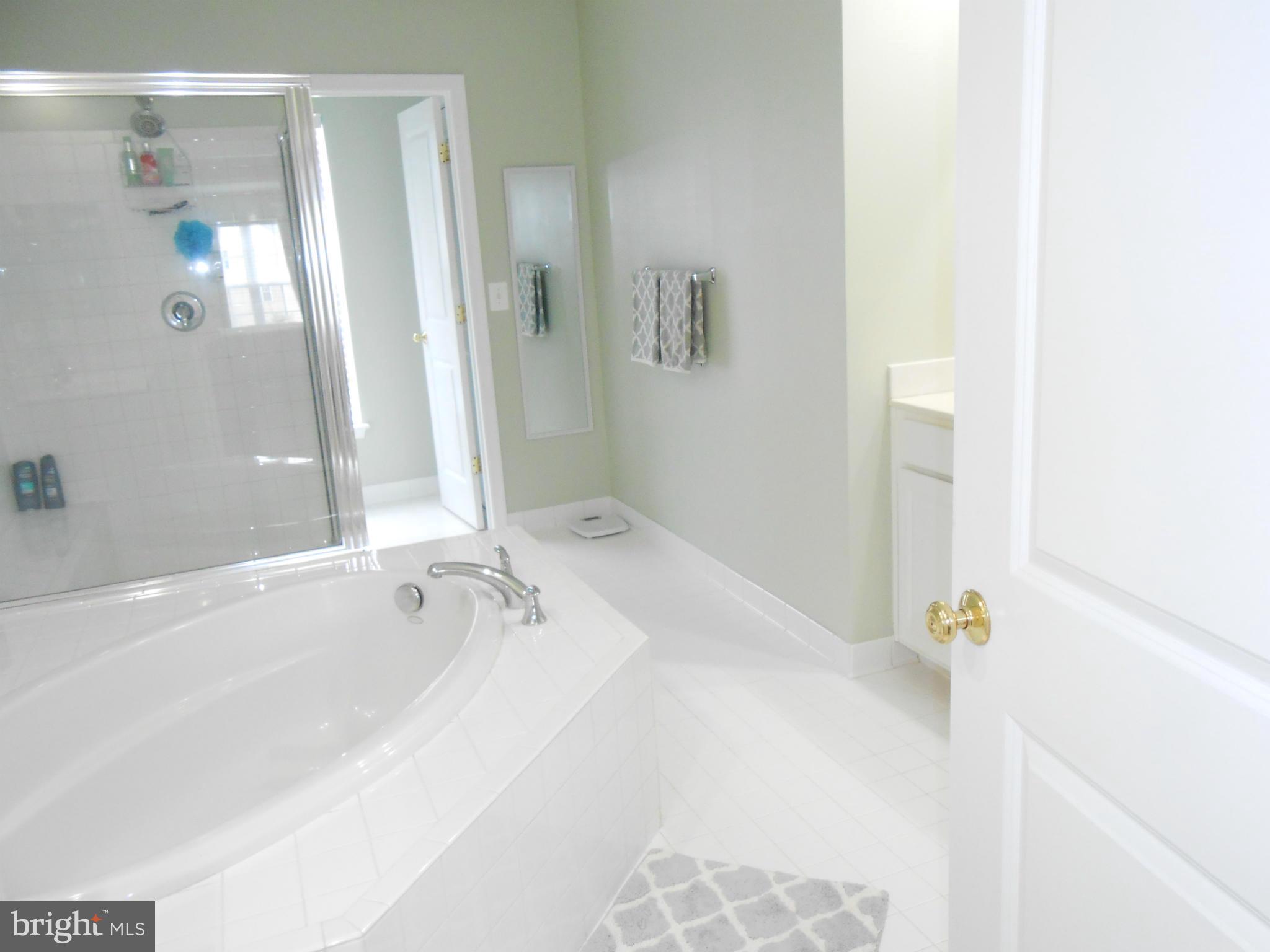9006 Ribbon Falls Loop Bristow, VA 20136 - Photo 23 of 30 Bath (Master)