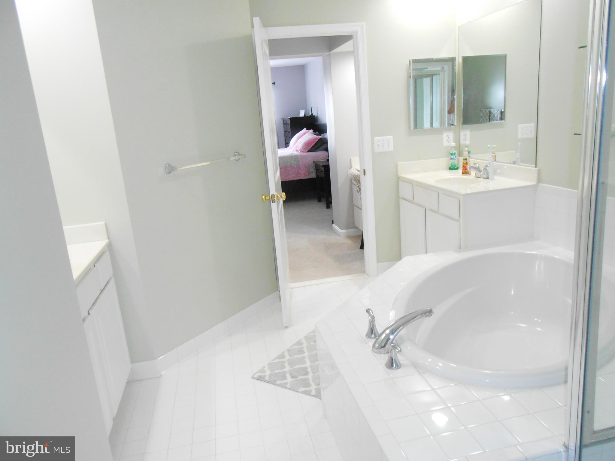 9006 Ribbon Falls Loop Bristow, VA 20136 - Photo 24 of 30 Bath (Master)
