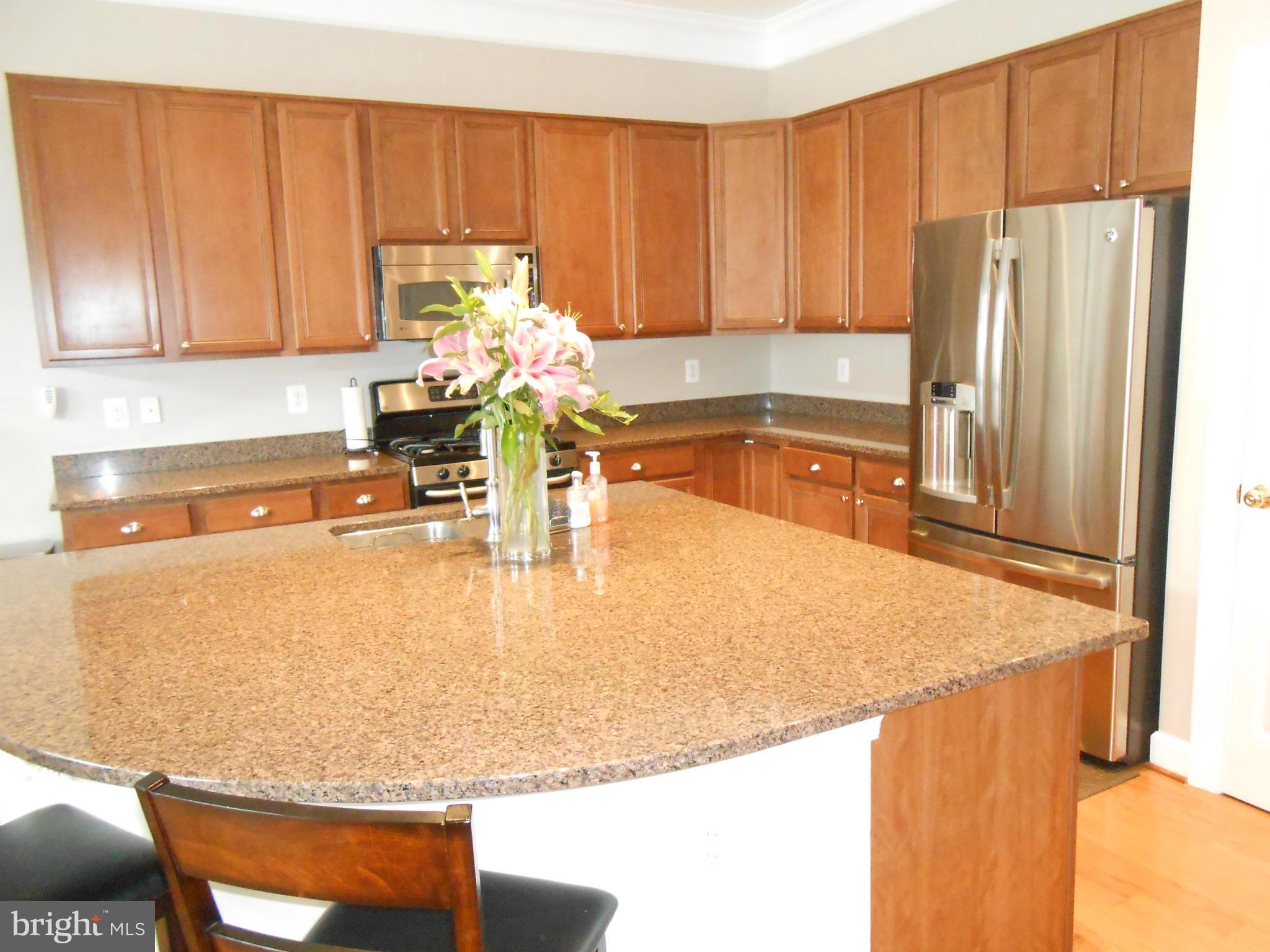 9006 Ribbon Falls Loop Bristow, VA 20136 - Photo 6 of 30 Kitchen