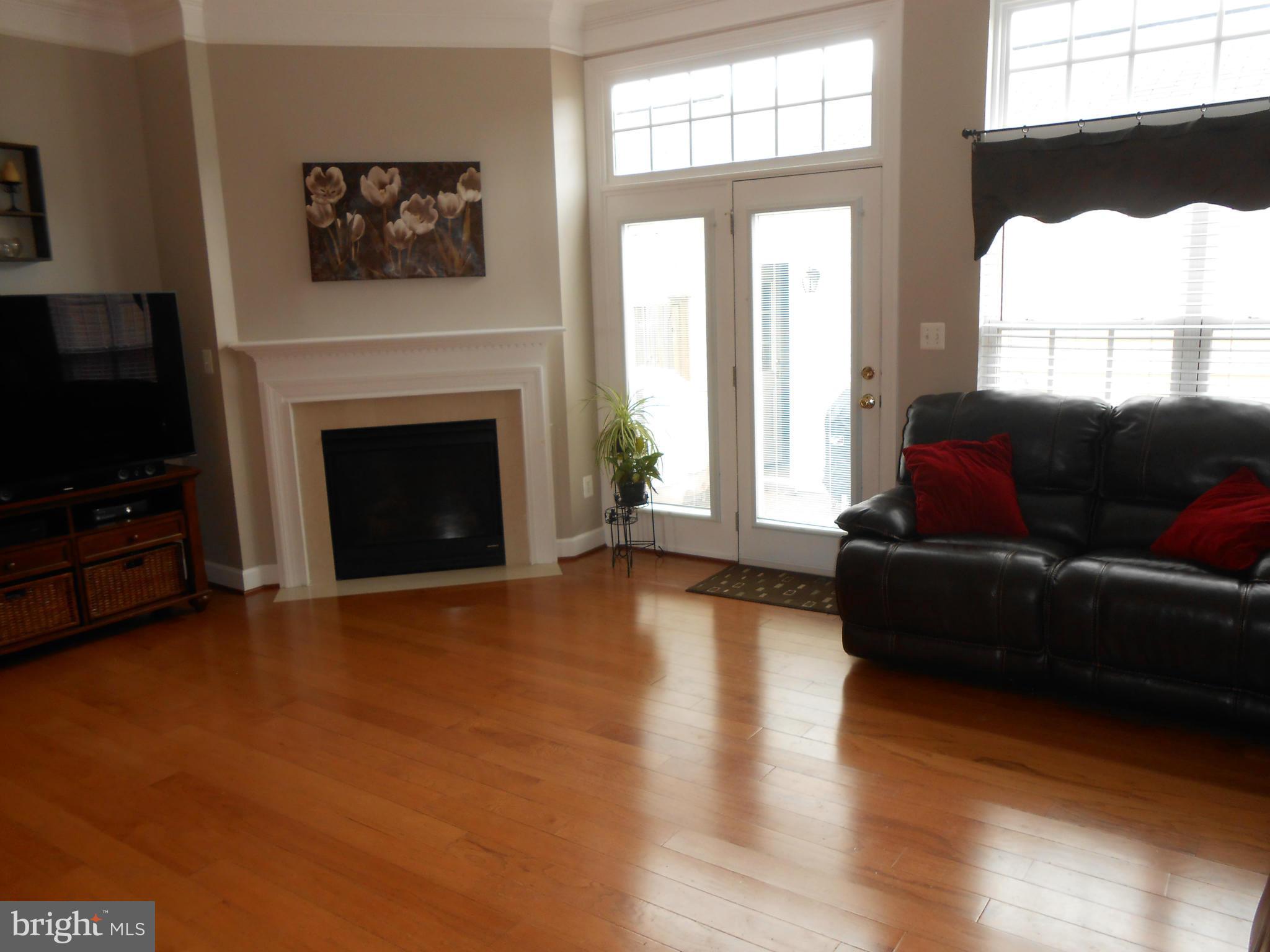9006 Ribbon Falls Loop Bristow, VA 20136 - Photo 8 of 30 Family Room
