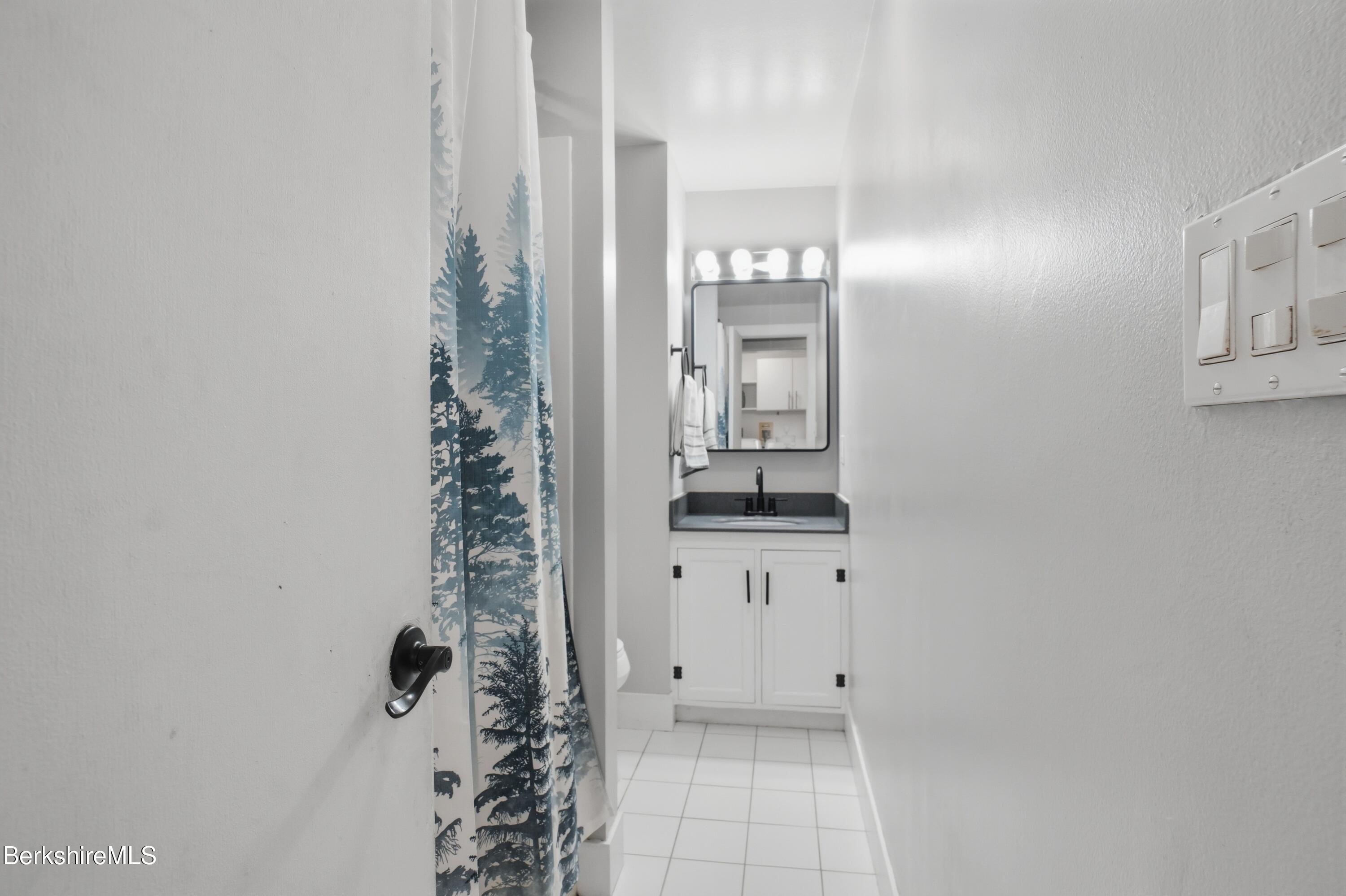 117 Norfolk Road New Marlborough, MA 01259 - Photo 39 of 59 Full Bath