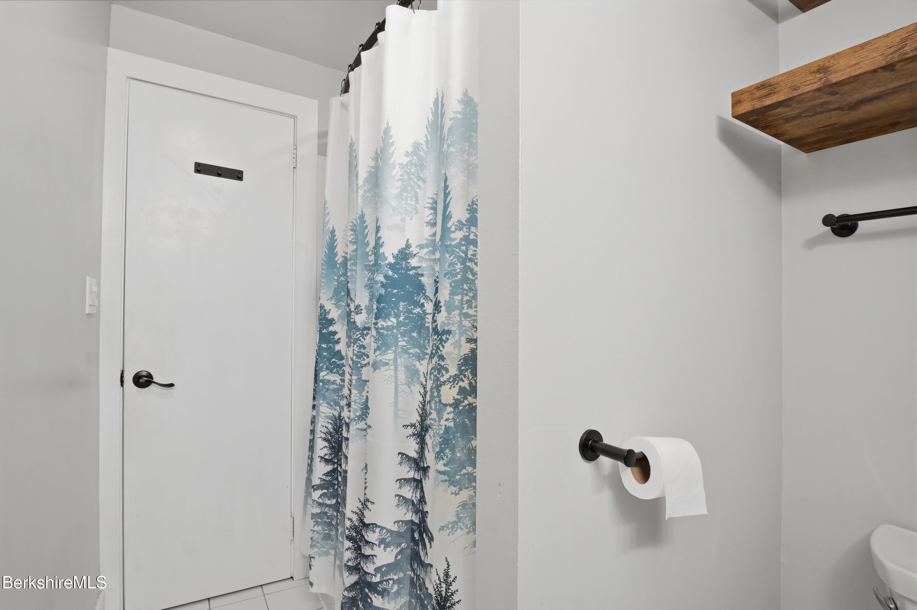 117 Norfolk Road New Marlborough, MA 01259 - Photo 40 of 59 a bathroom with a shower