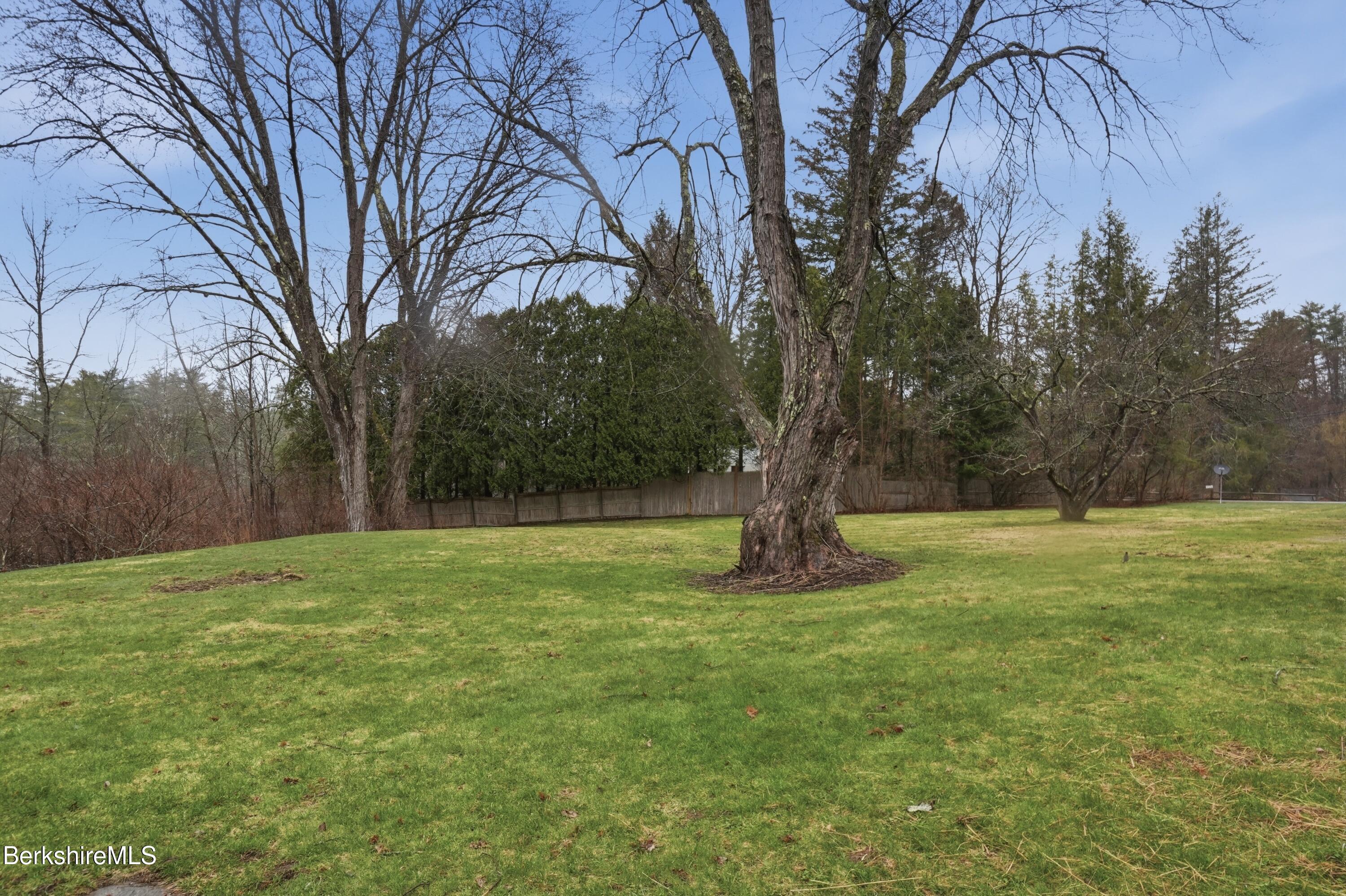117 Norfolk Road New Marlborough, MA 01259 - Photo 56 of 59 a view of outdoor space with a garden