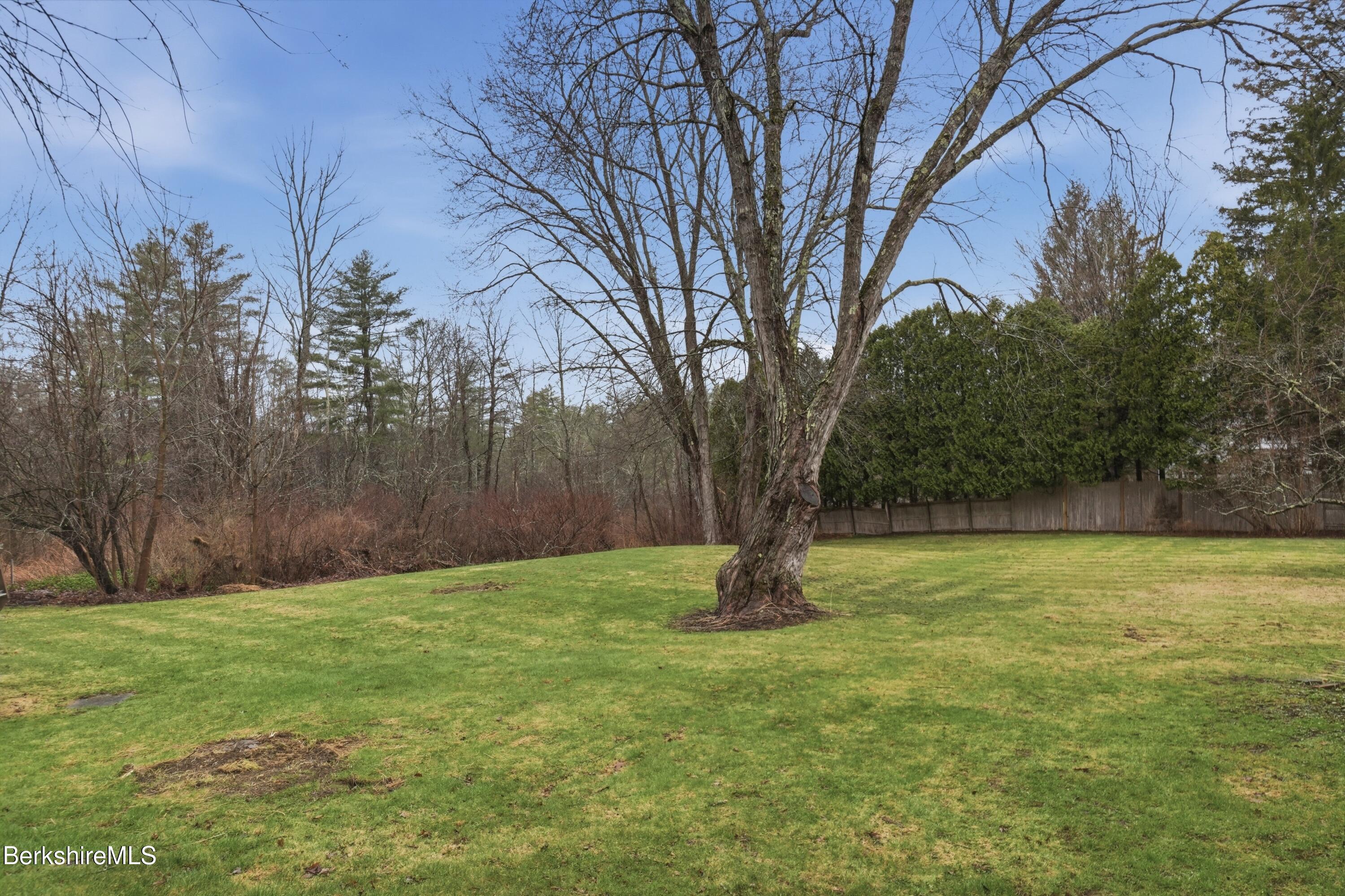 117 Norfolk Road New Marlborough, MA 01259 - Photo 57 of 59 Back Yard