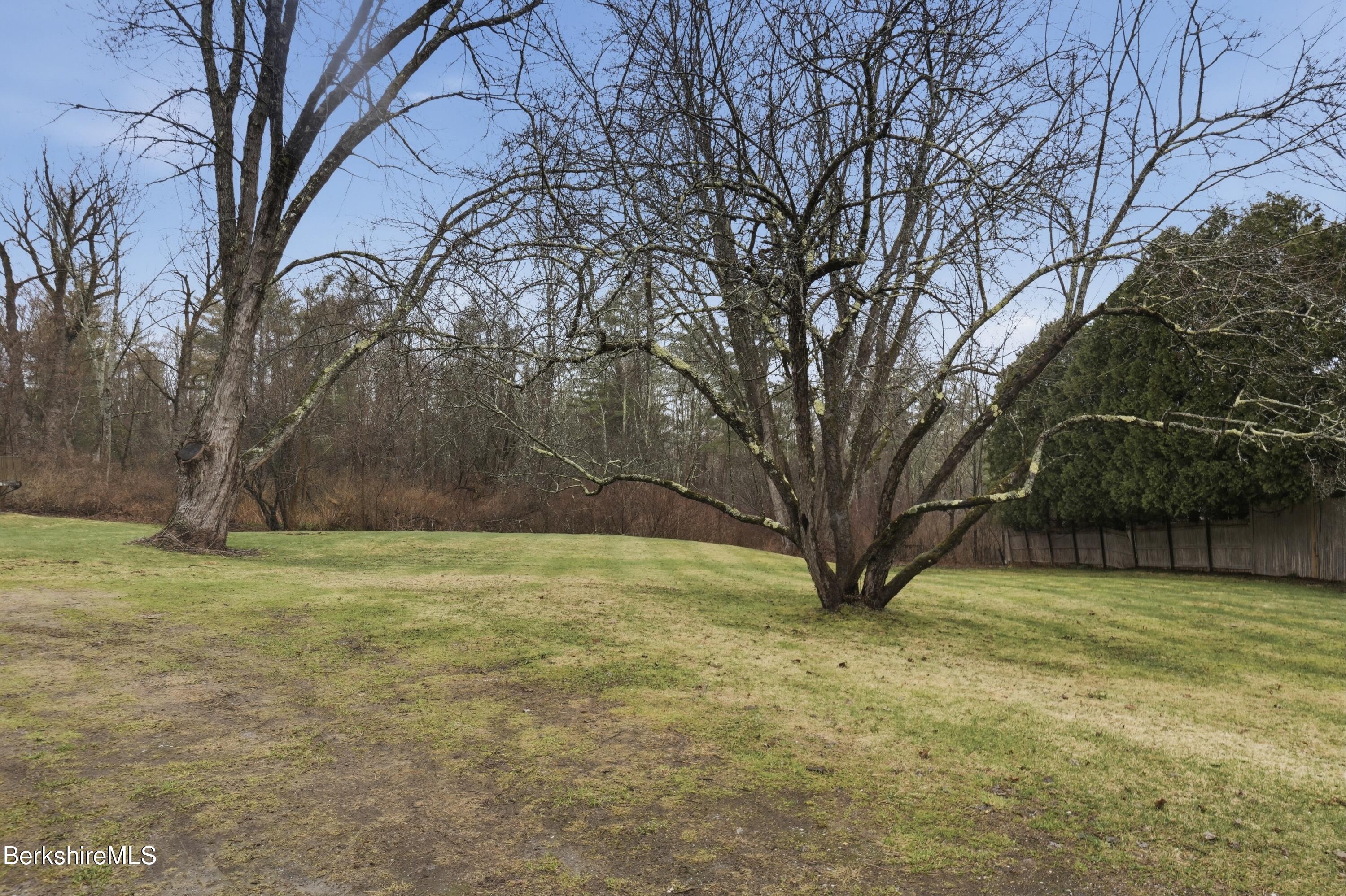 117 Norfolk Road New Marlborough, MA 01259 - Photo 58 of 59 Back Yard