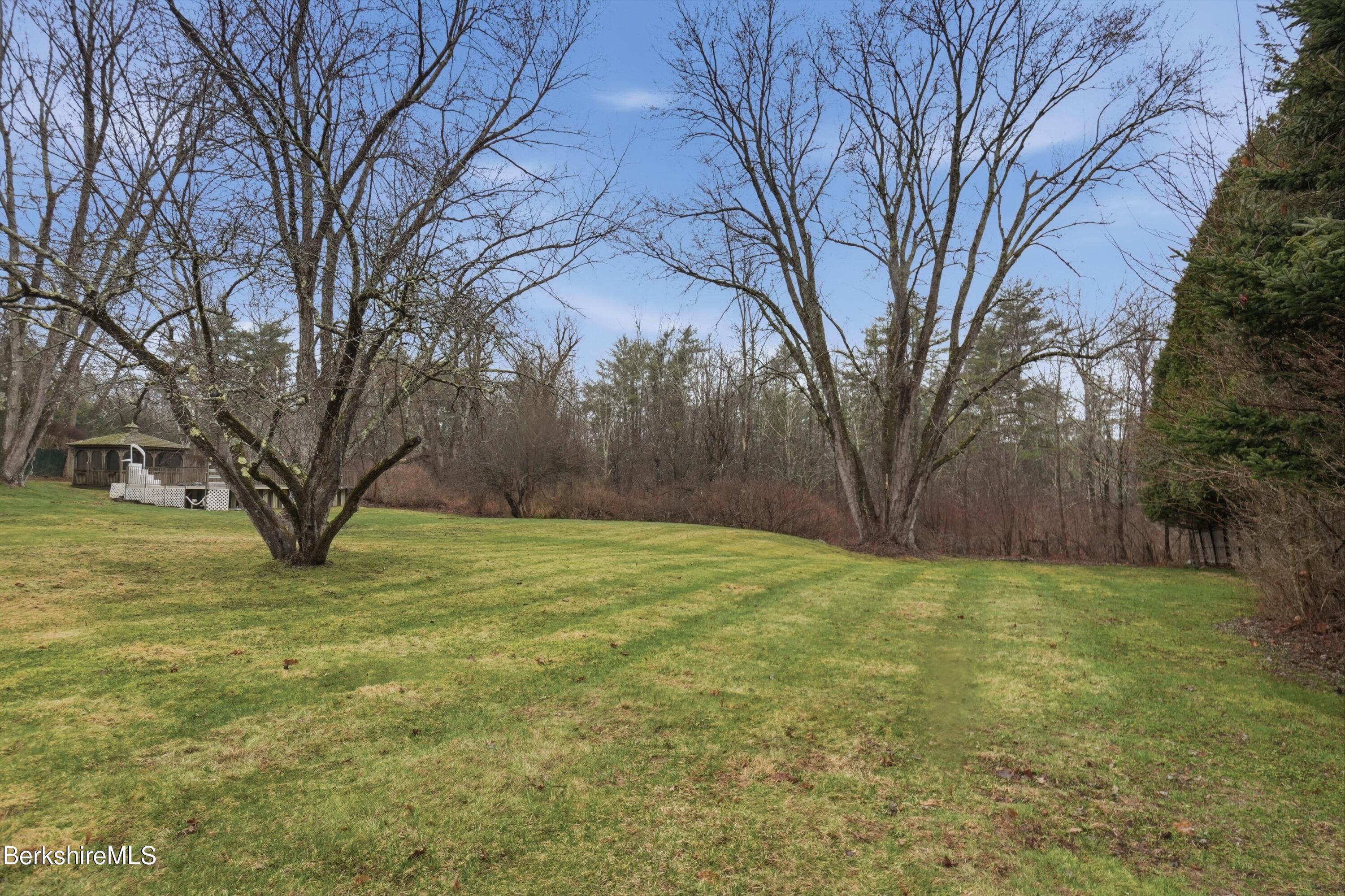 117 Norfolk Road New Marlborough, MA 01259 - Photo 59 of 59 a view of a yard with a tree