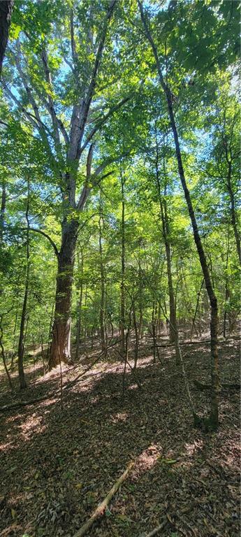 5 Ripplewood Trail Euharlee, GA 30145 - Photo 2 of 4