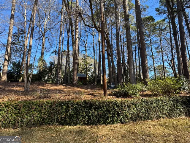 a view of a backyard with large trees