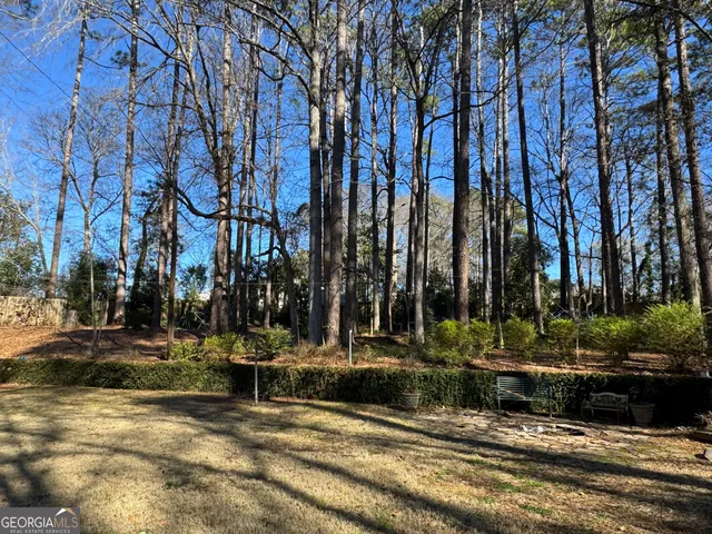 a view of a park with tree s