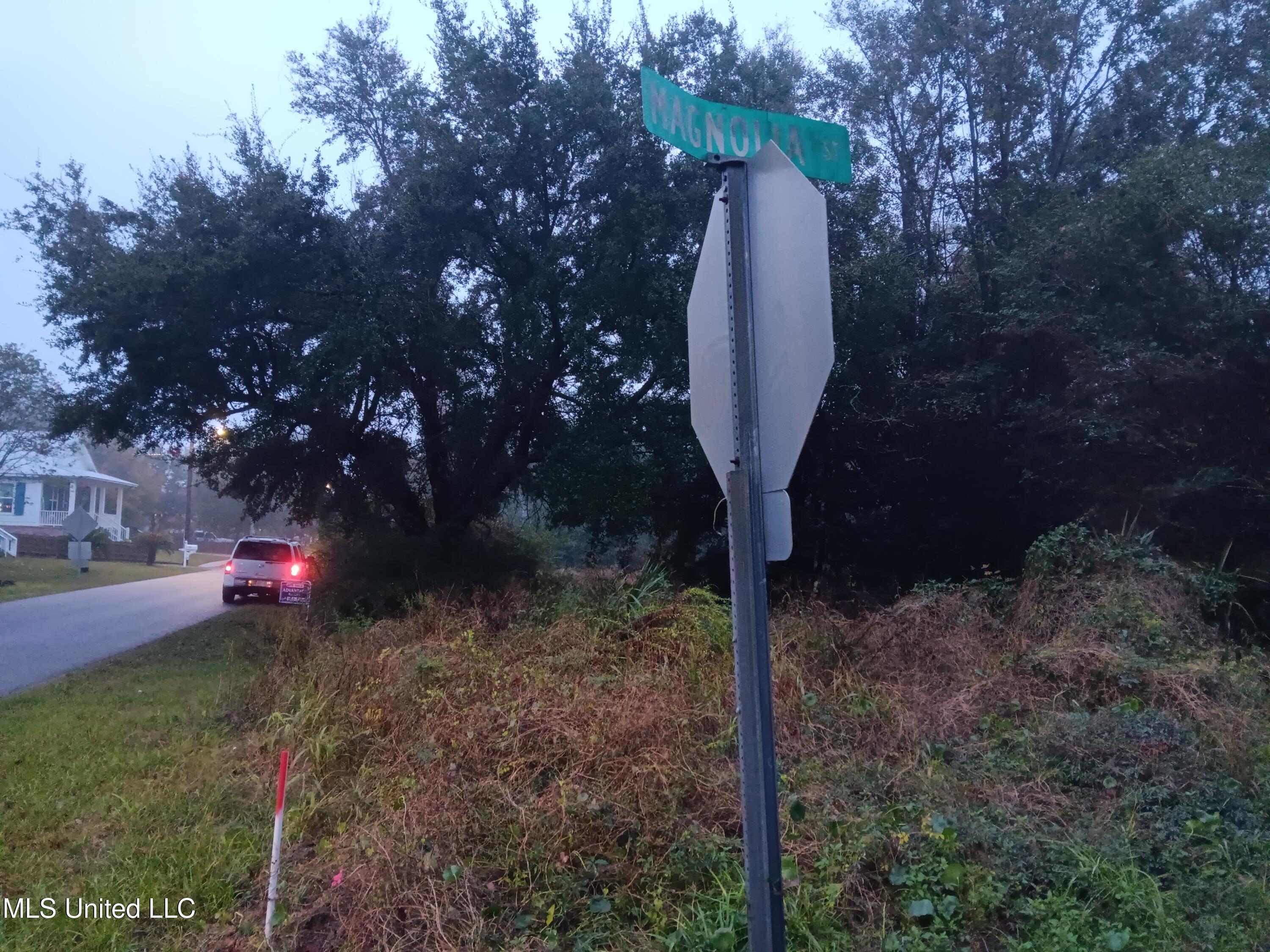South Island View Avenue Long Beach, MS 39560 - Photo 3 of 3 20241209_170513