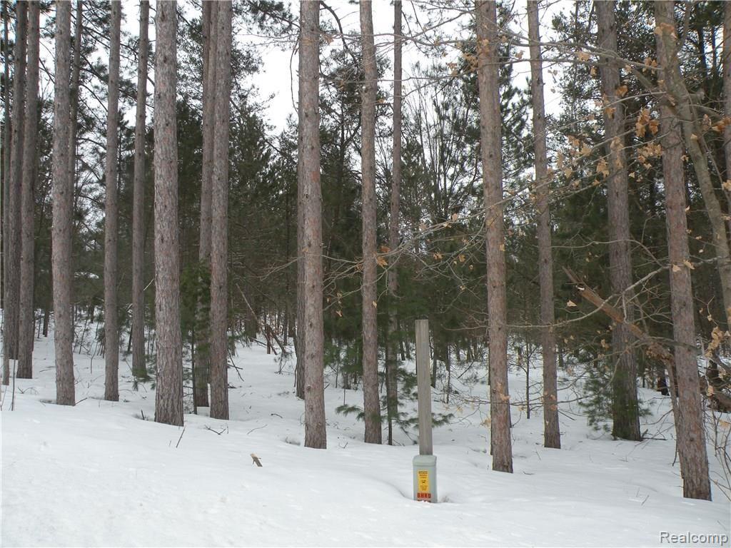 N/a Cedar Run Road Traverse City, MI 49684 - Photo 7 of 9