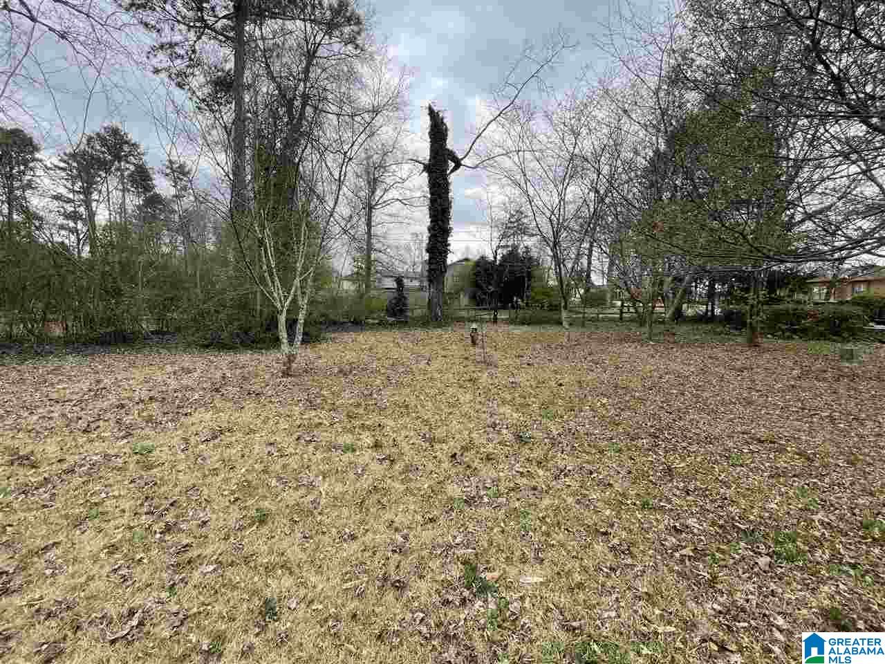 3286 Greendale Road Birmingham, AL 35243 - Photo 5 of 8