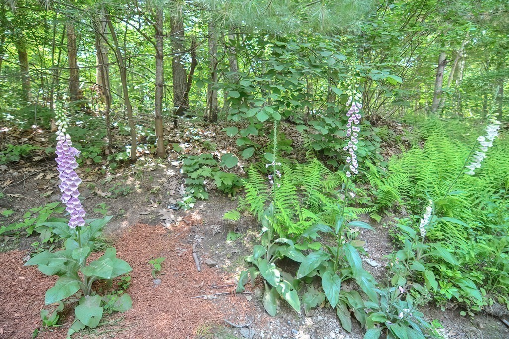 117 Robert Road Holliston, MA 01746 - Photo 34 of 41 Gallery Image 34