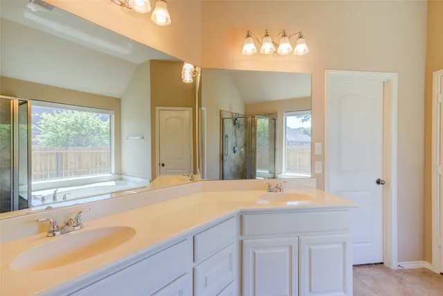 a bathroom with a sink and a large mirror