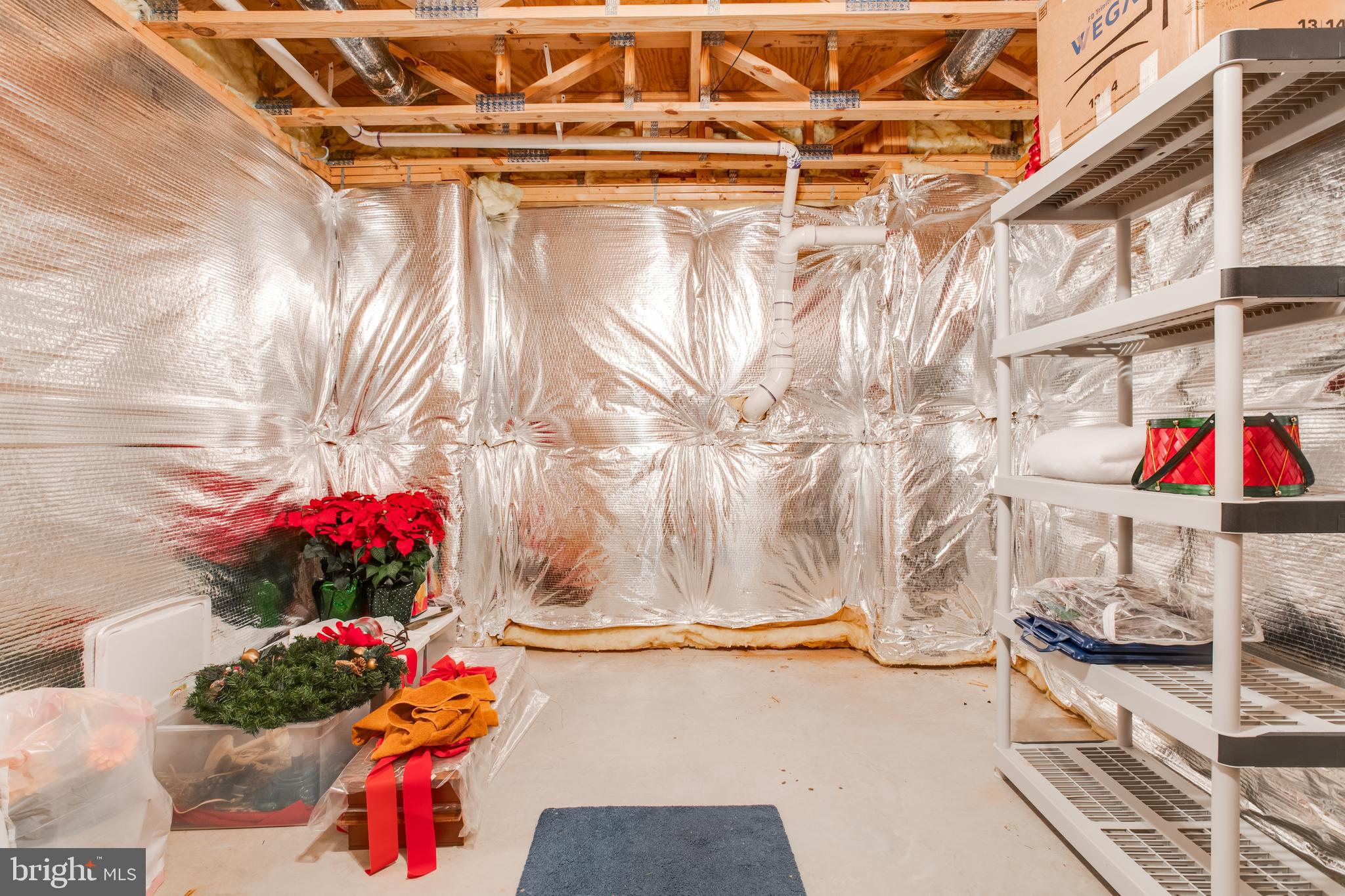 13533 Ryton Ridge Lane Gainesville, VA 20155 - Photo 30 of 65 Unfinished Storage