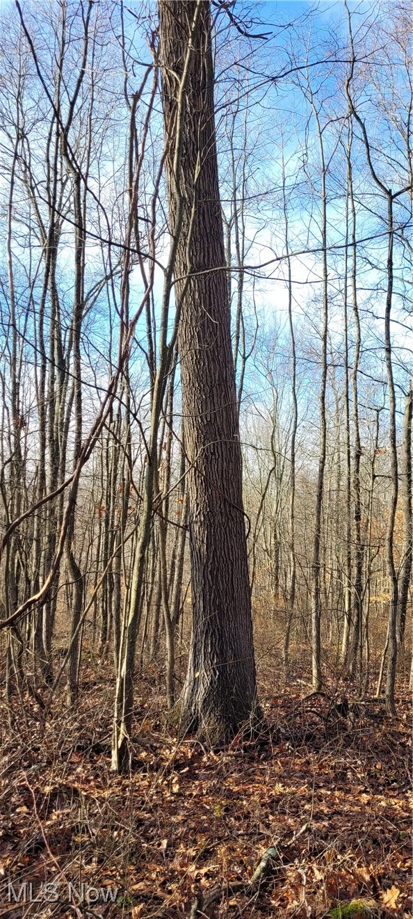 399 Township Road Coshocton, OH 43812 - Photo 38 of 50