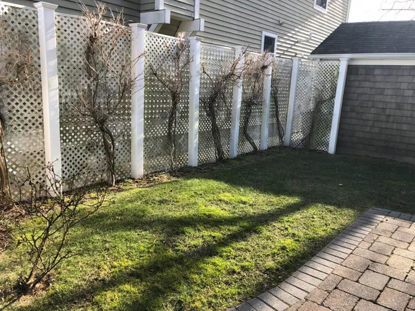 a view of a backyard of the house