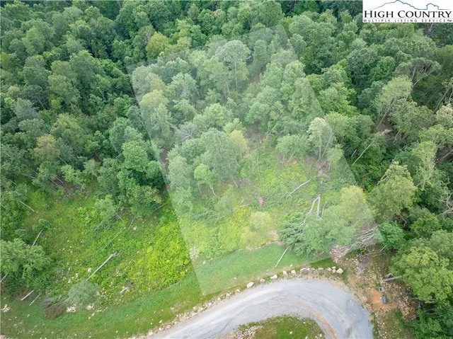 a view of a lush green forest with a mountain