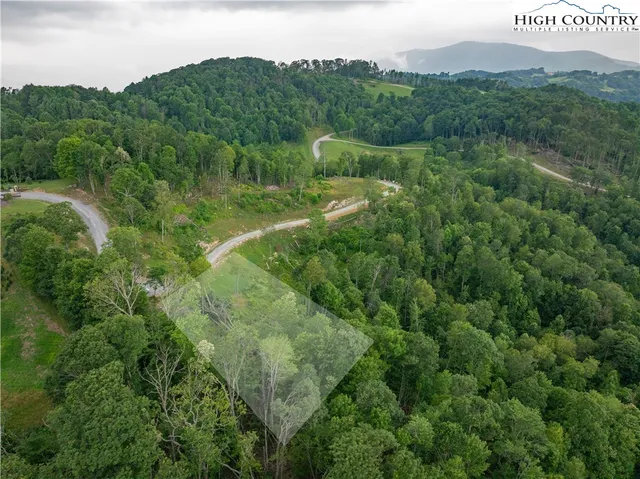a view of a lush green outdoor space with a lake view