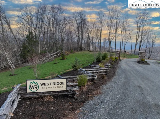 a view of a dry yard