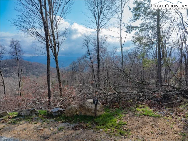 a view of outdoor space and trees