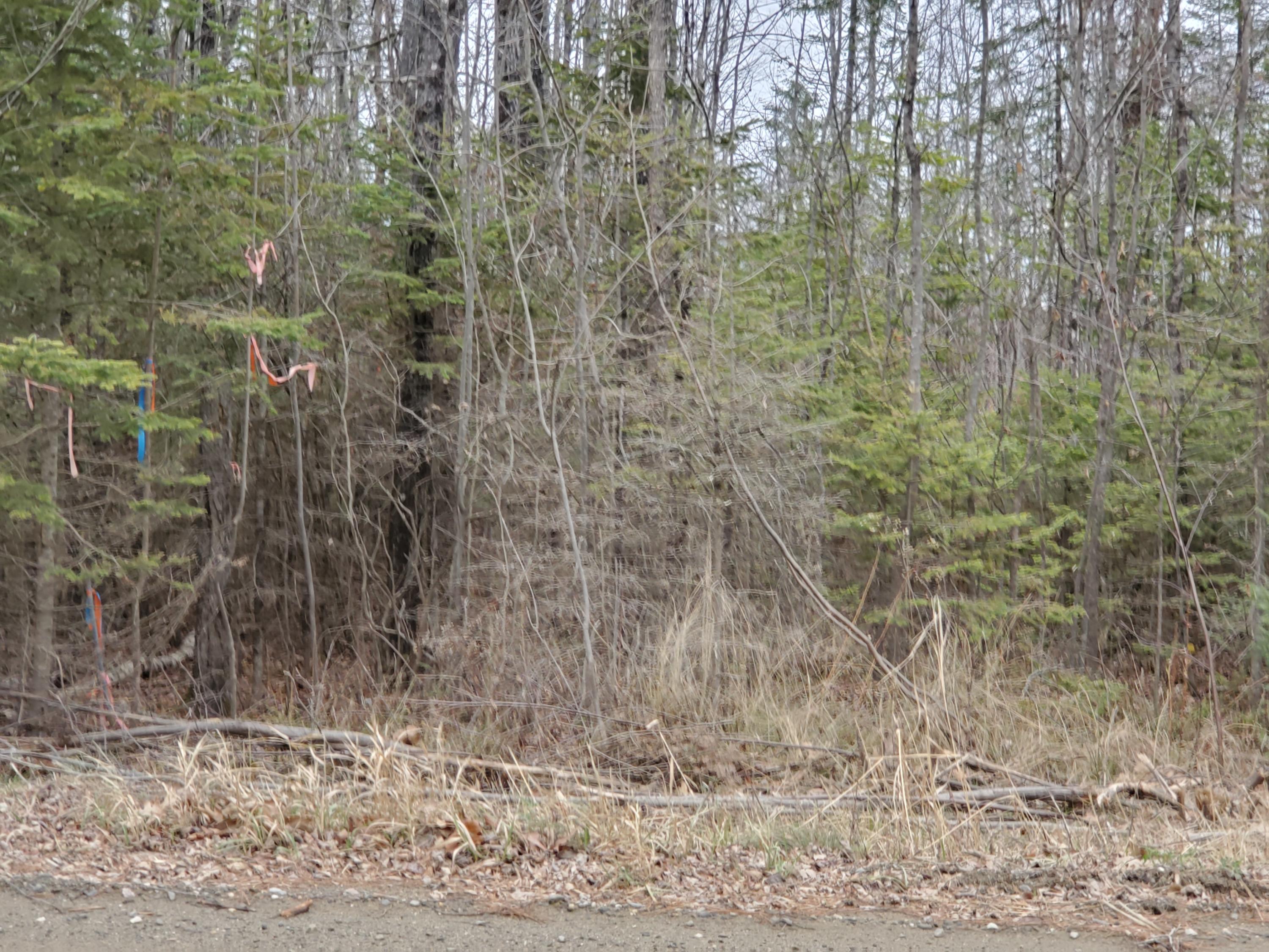 Lot 7 Johnson Flat Road Dexter, ME 04930 - Photo 1 of 6 20191111_102404