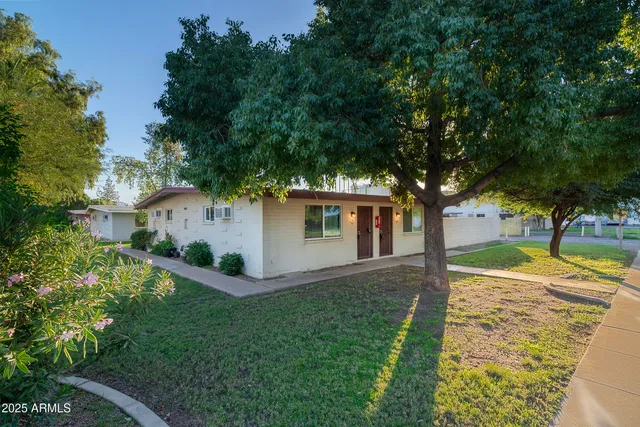 a view of a yard with plants and large trees