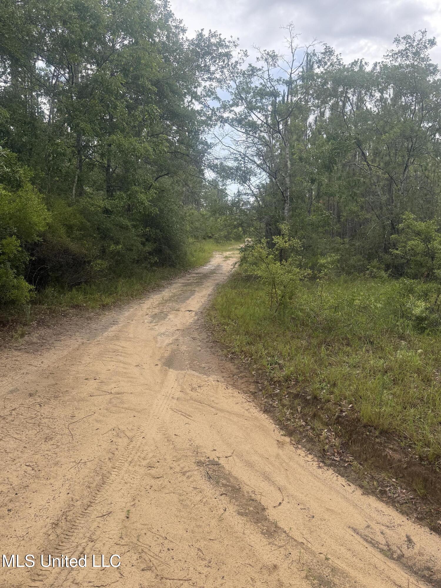 Dunn Road Moss Point, MS 39562 - Photo 1 of 11 IMG_6530