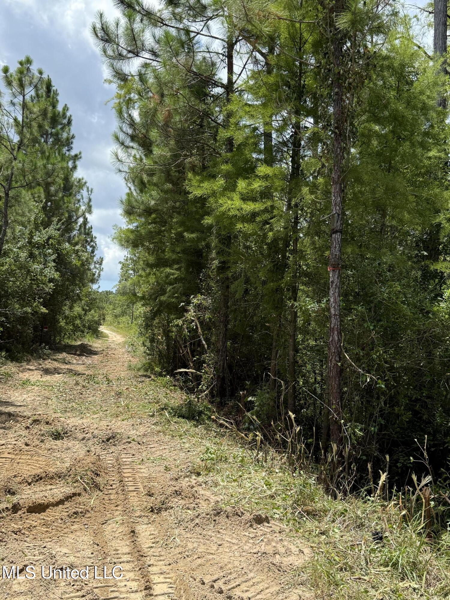 Dunn Road Moss Point, MS 39562 - Photo 11 of 11 IMG_8364